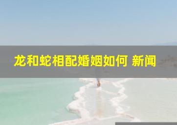 龙和蛇相配婚姻如何 新闻